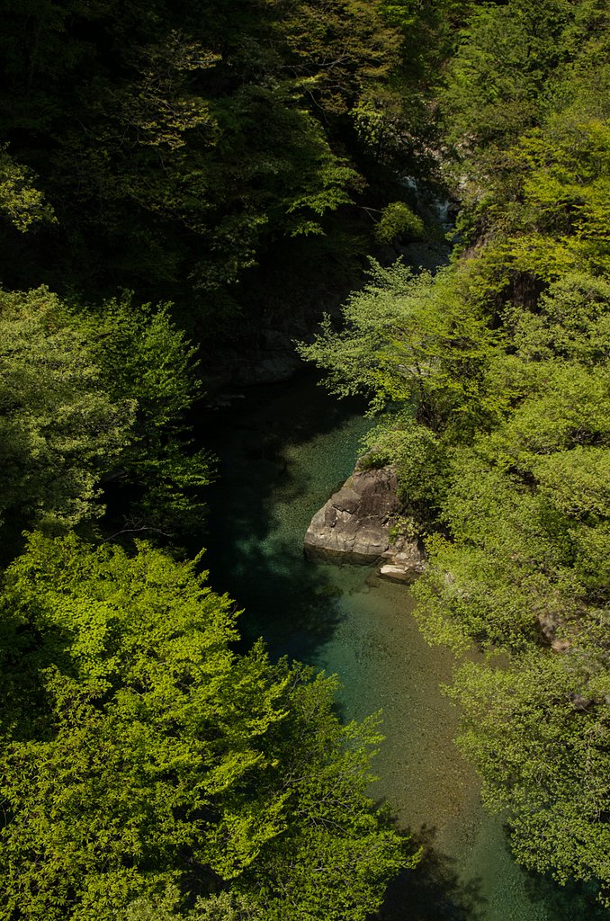 【五月】新緑の渓谷