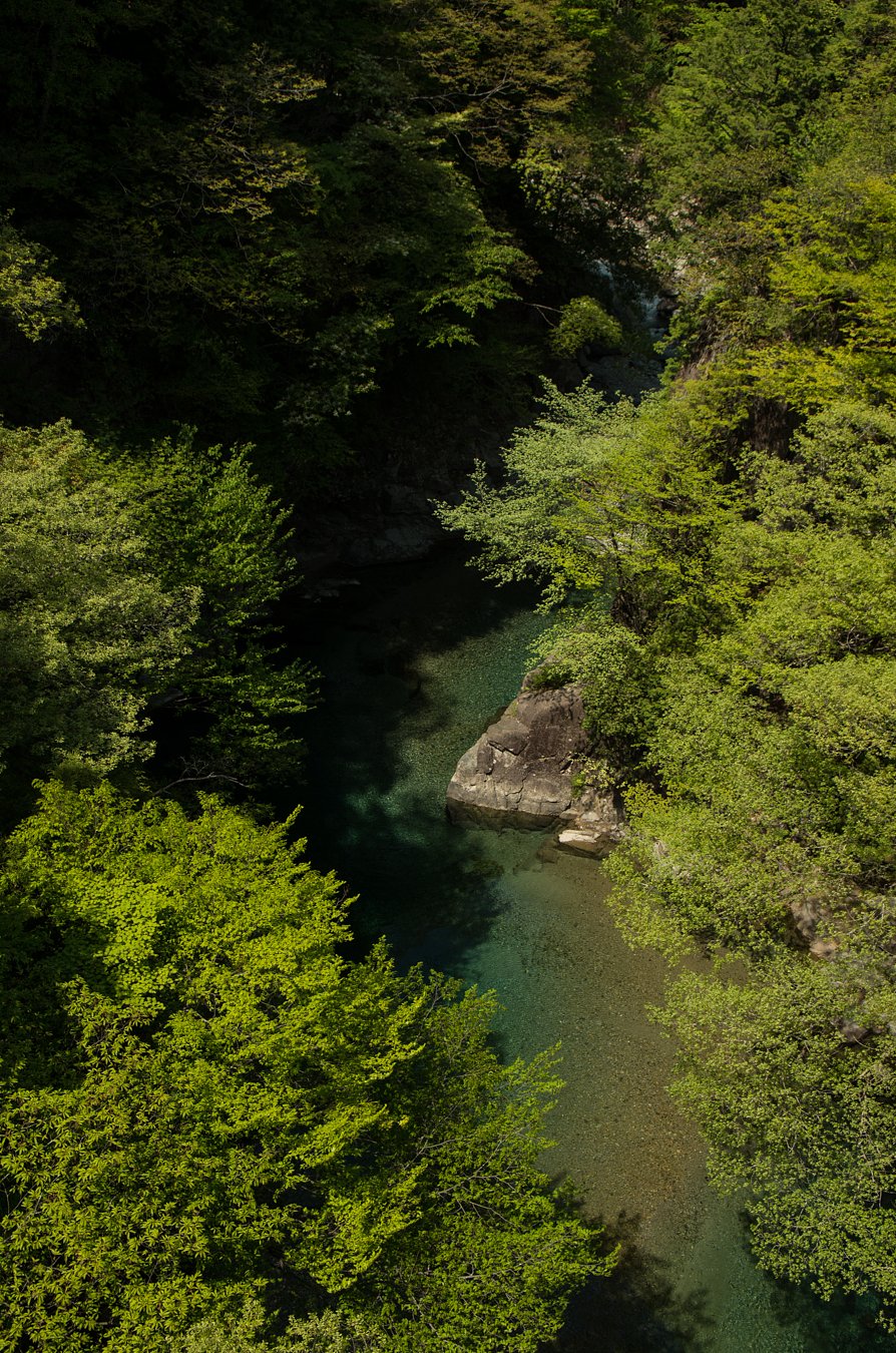【五月】新緑の渓谷