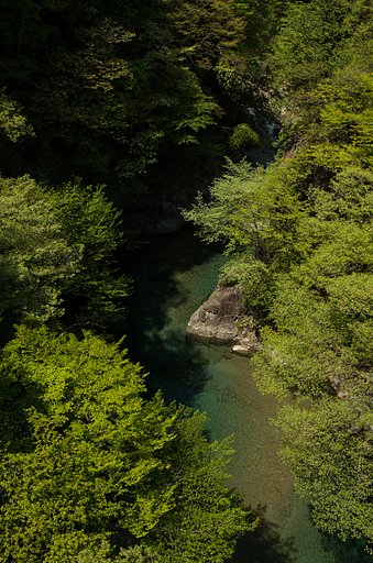 【五月】新緑の渓谷