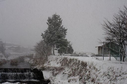 吹雪いています。