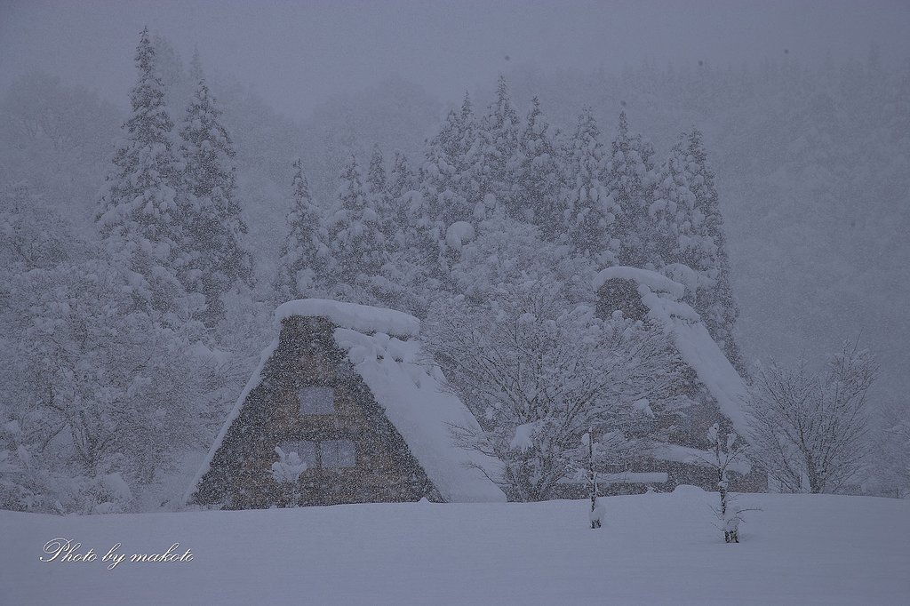 豪雪