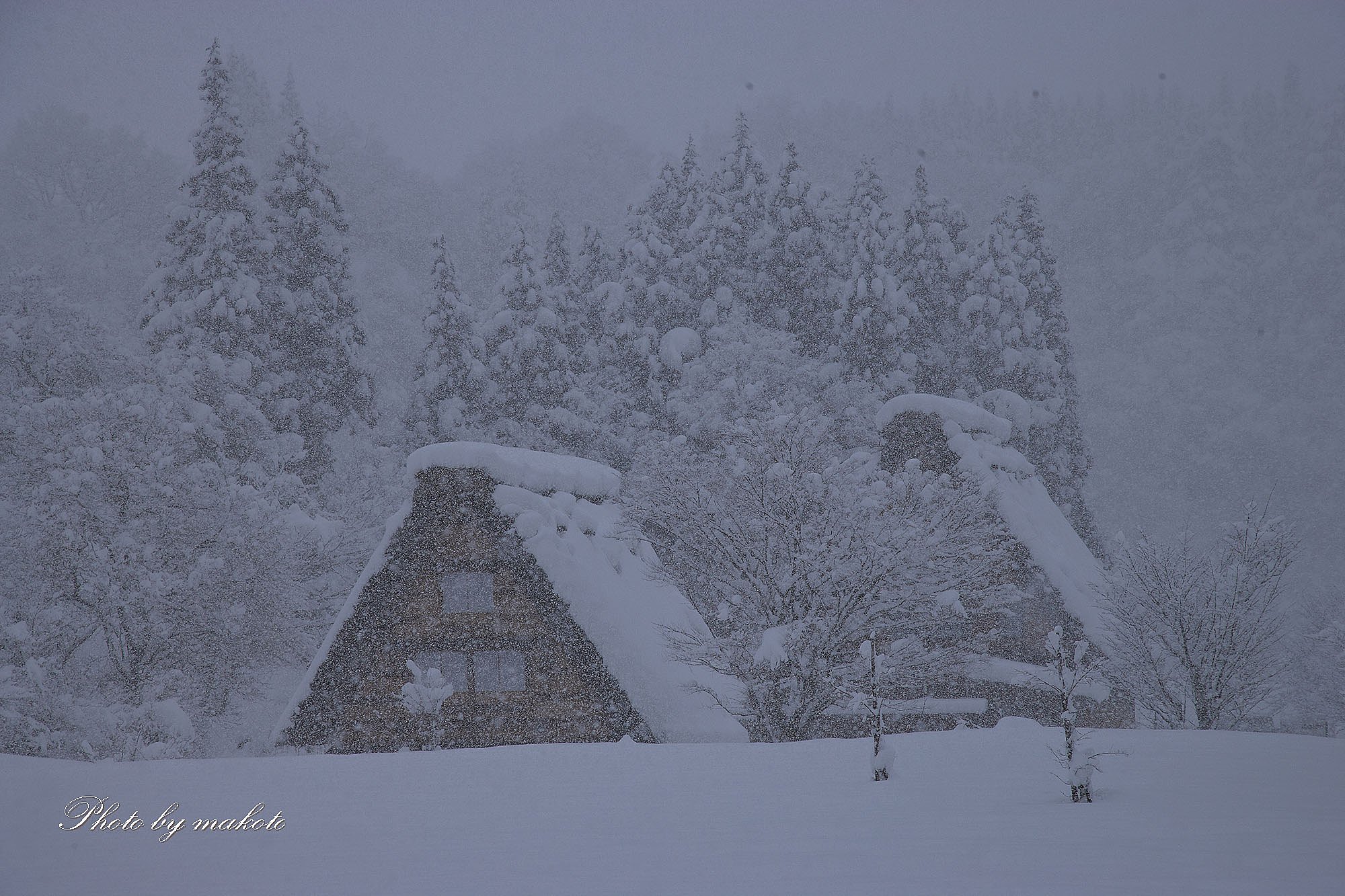 豪雪
