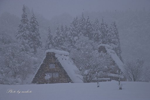 豪雪