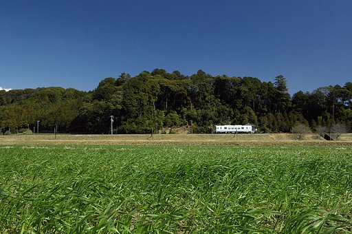 「春」緑の野をいく
