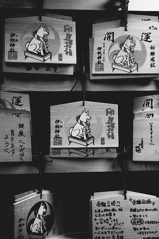 伊奴神社で初詣