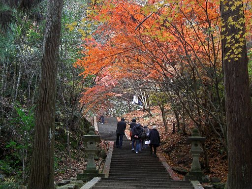 紅葉の下を