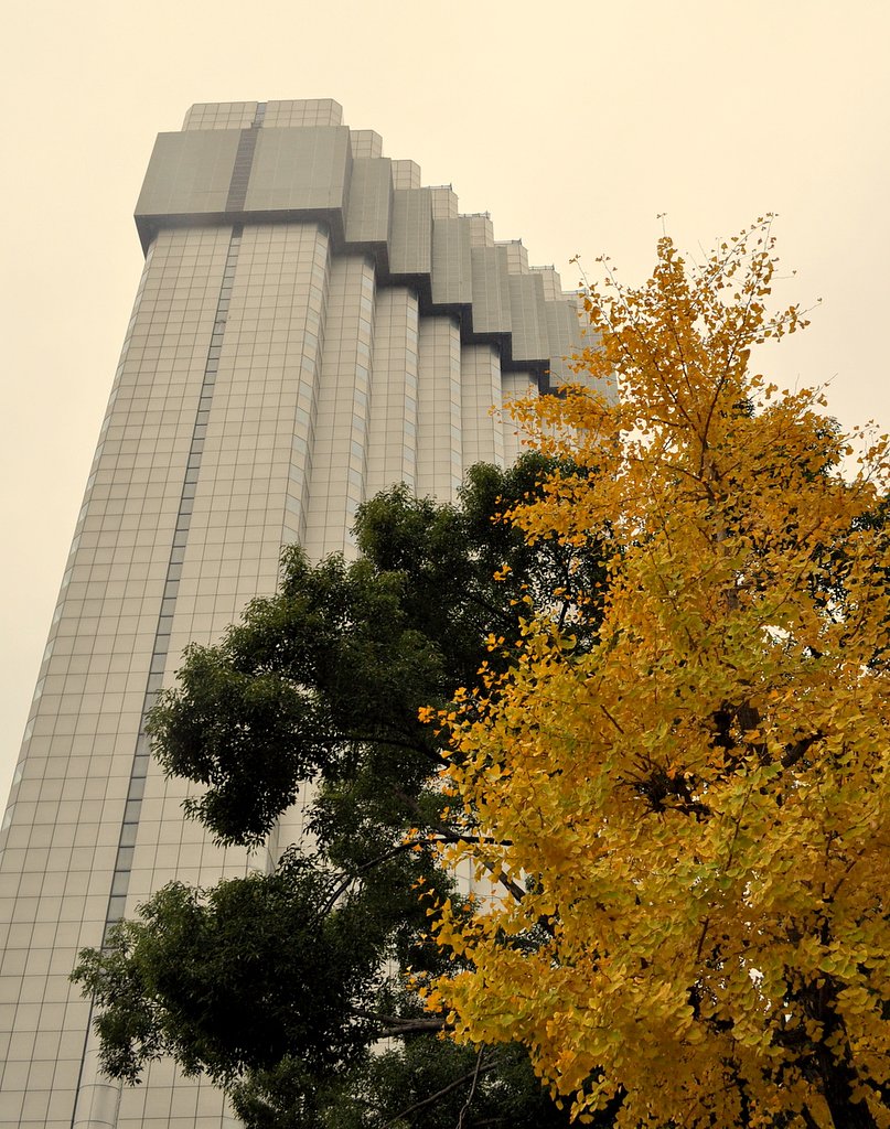 赤坂プリ　最後の紅葉