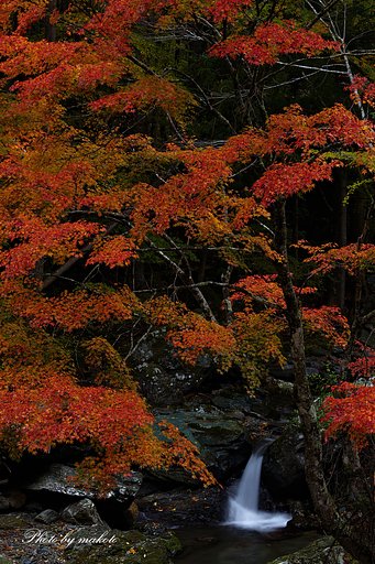 白倉にて