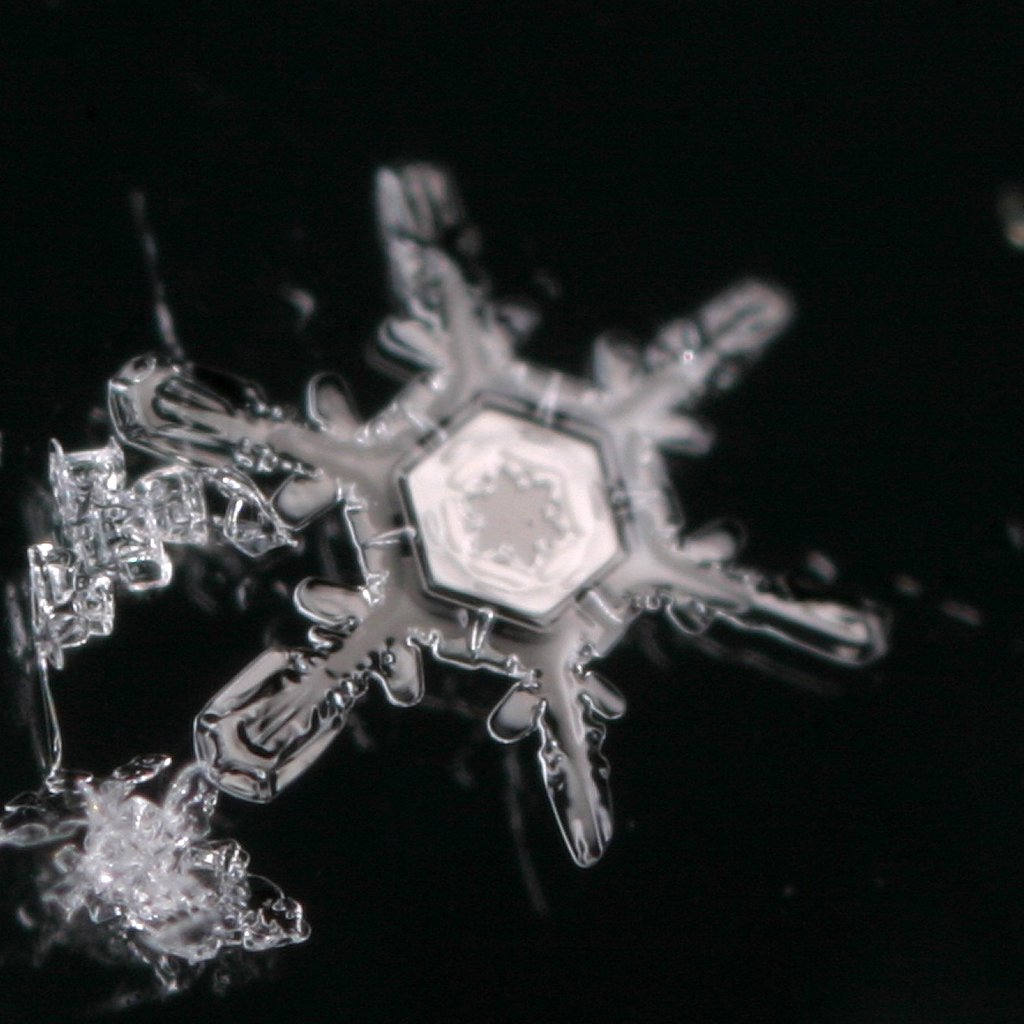 雪の結晶２００６