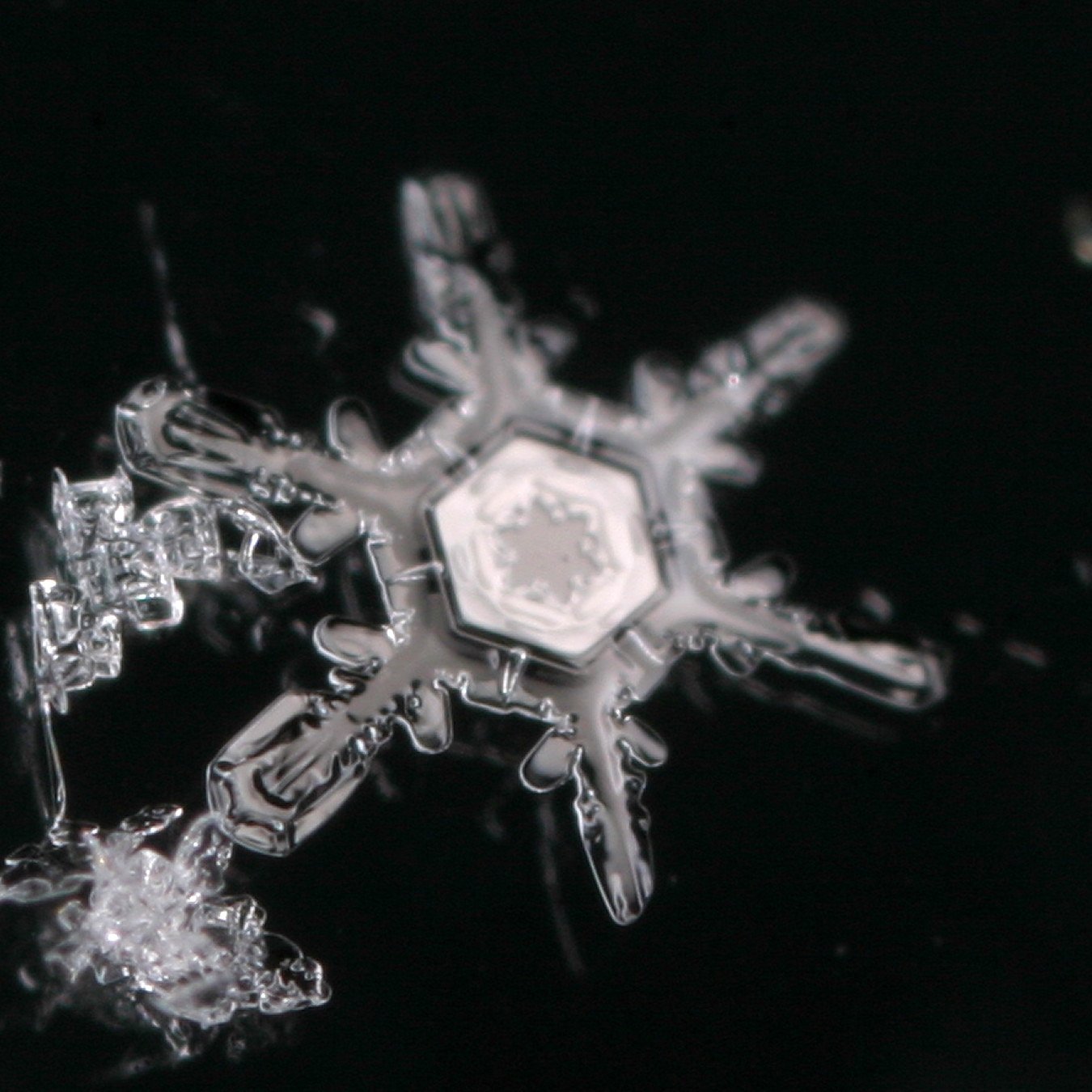 雪の結晶２００６