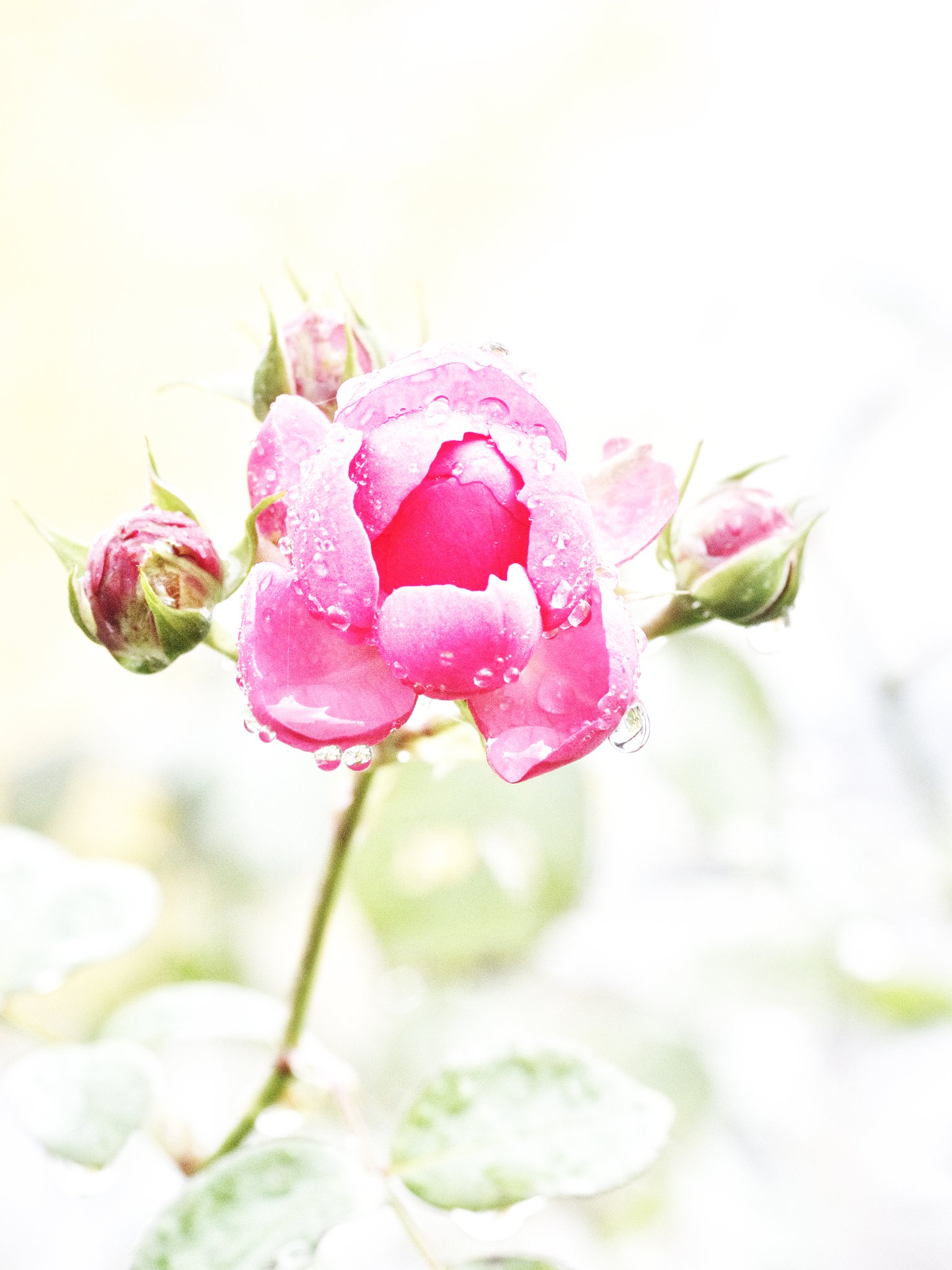 雨でも