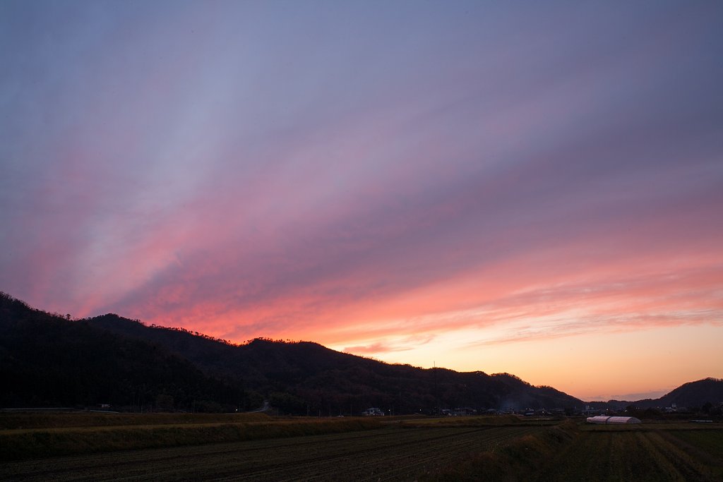 綺麗な夕焼けが・・。