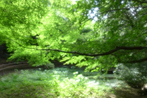 露光間デフォーカス