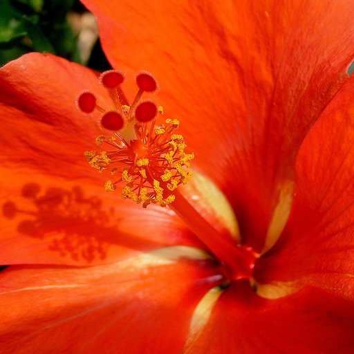 GXR　S10のテスト１ 