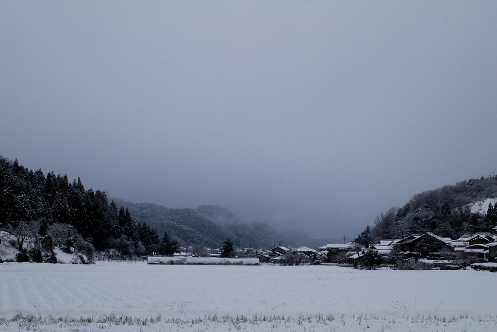 何処を見ても雪・雪・・。