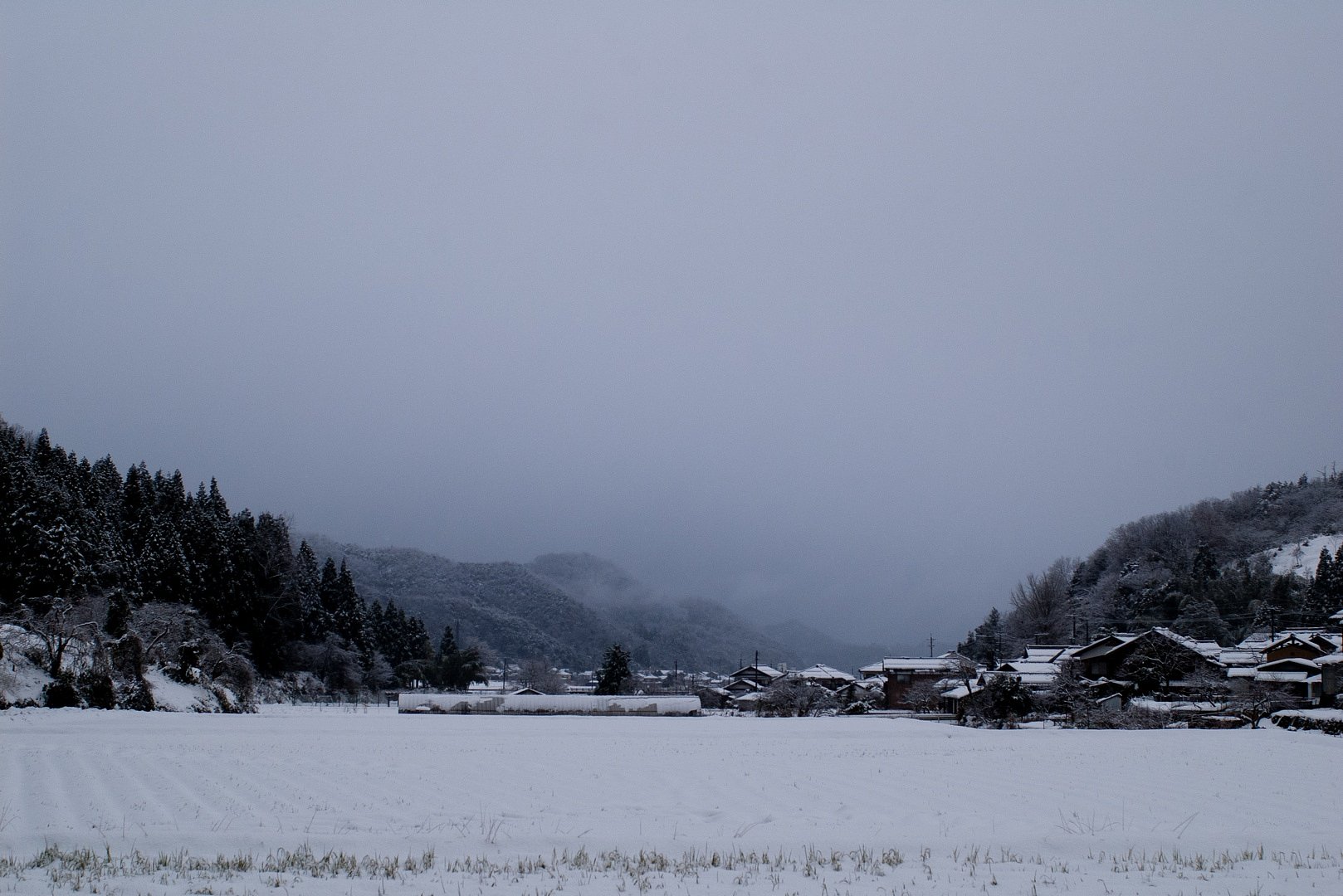 何処を見ても雪・雪・・。
