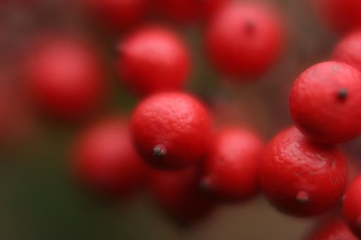12月15日の写真