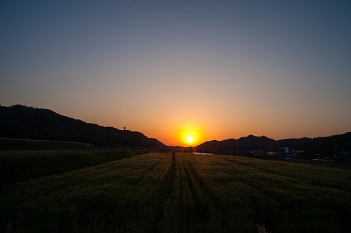 素晴らしい夕焼けに！
