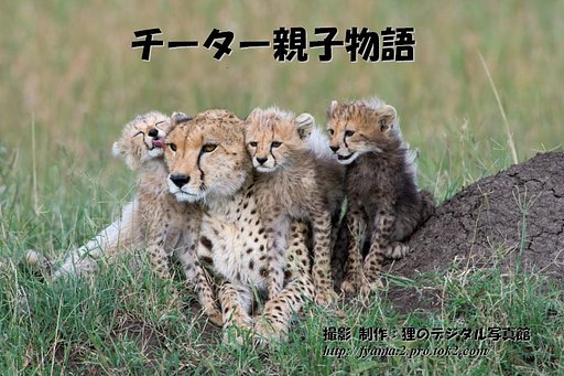 謹賀新年