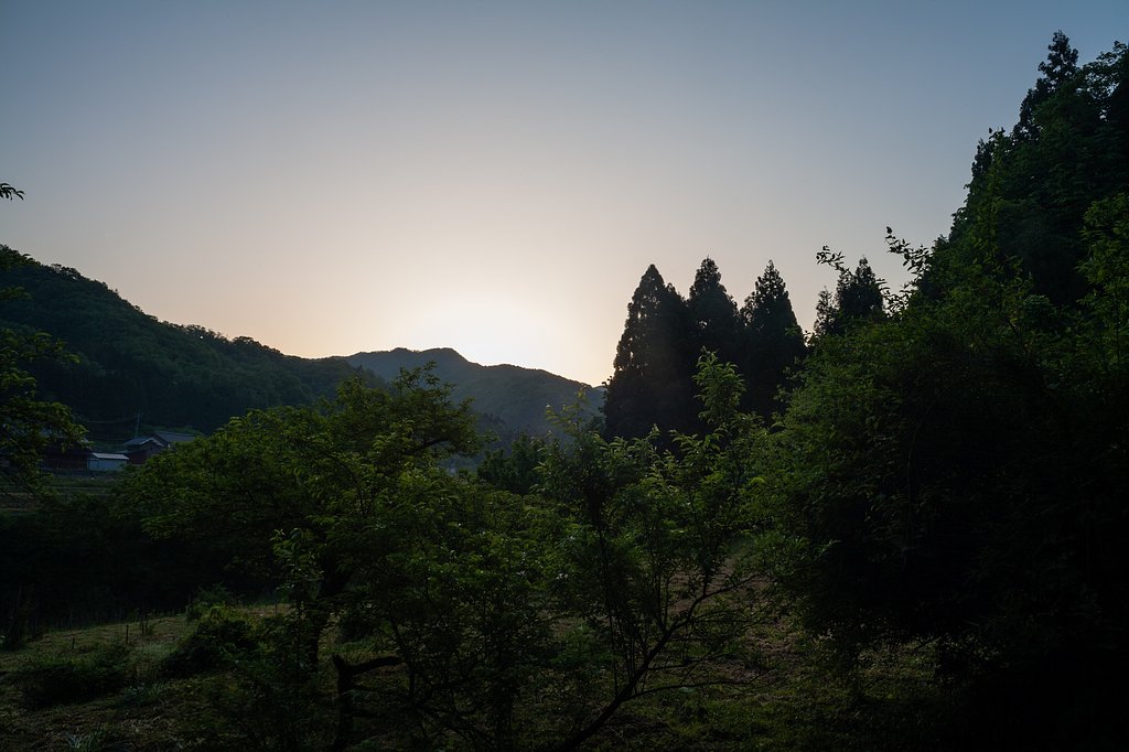 朝の村の奥の畑。