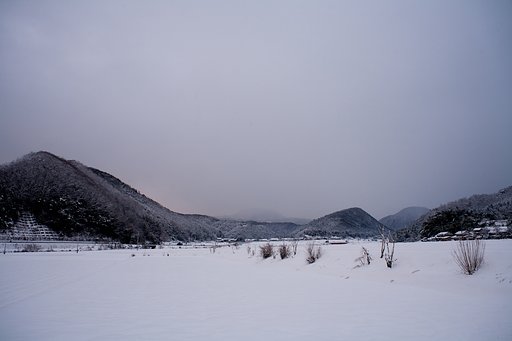 朝日の出は見られないかな・・？
