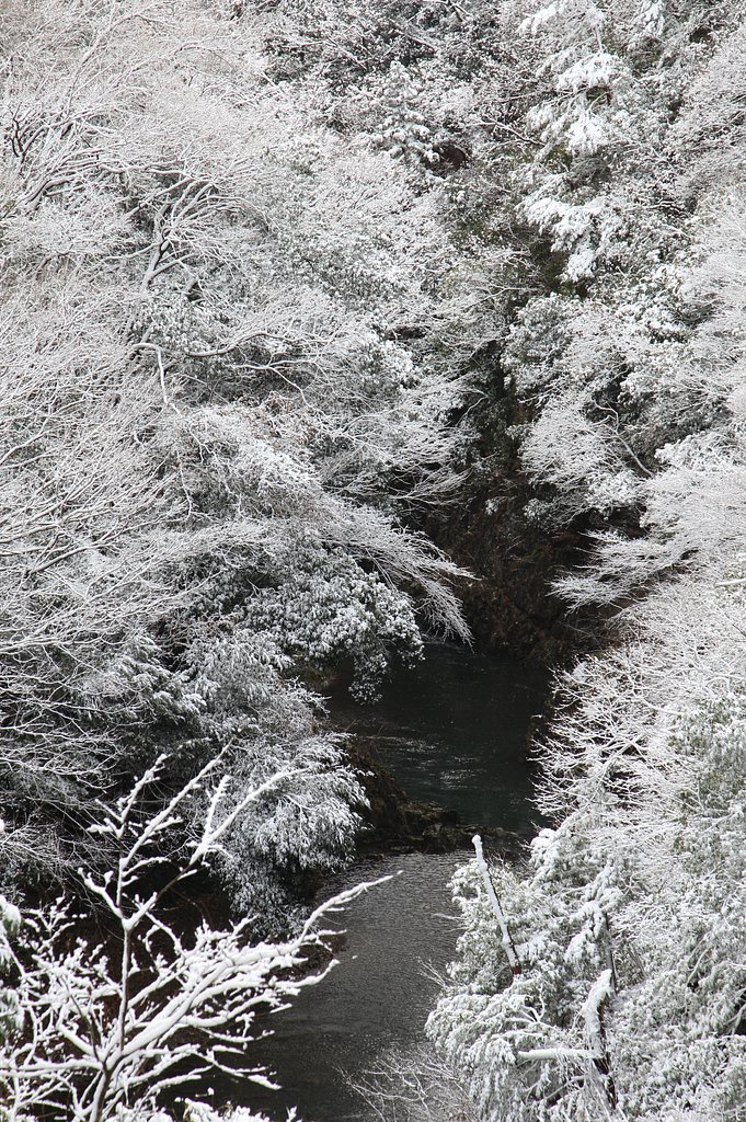 雪景色