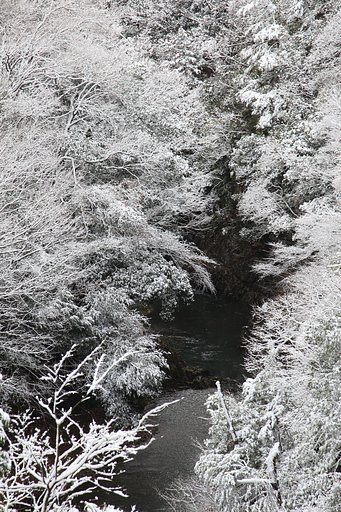 雪景色