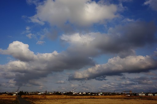 冬雲