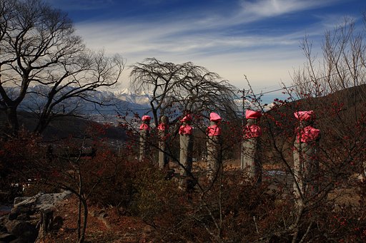 赤い実と常念岳