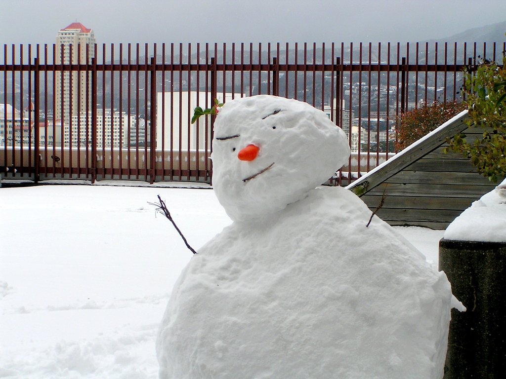 屋上の雪だるま