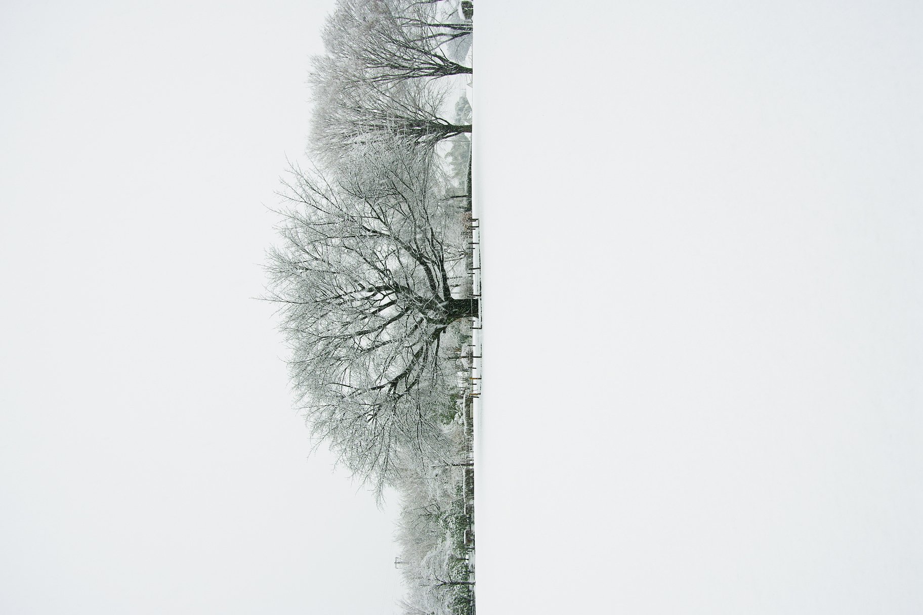 白い景色