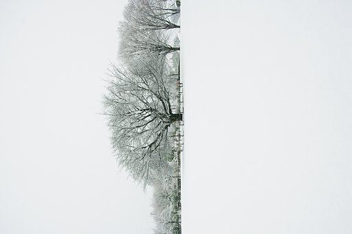 白い景色