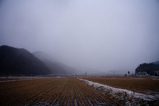 久し振りに雪が・・。
