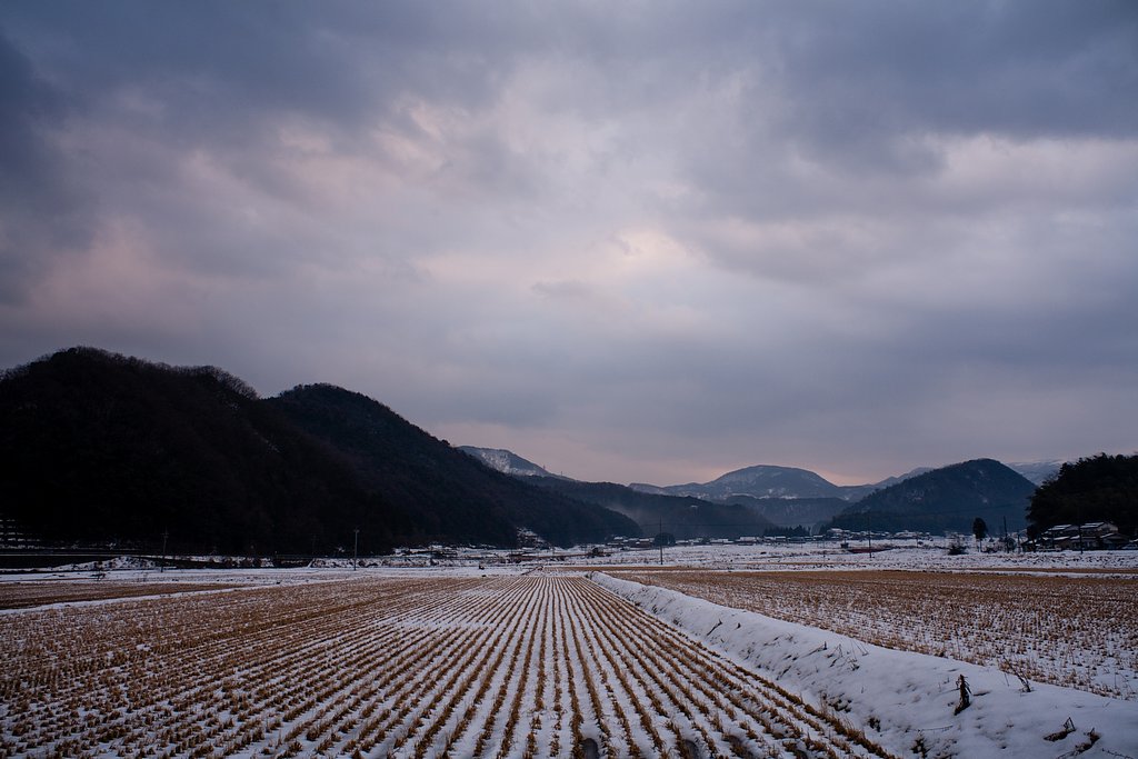 暗い曇り空の朝・・。