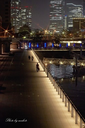 夜の煌きの中に・・・