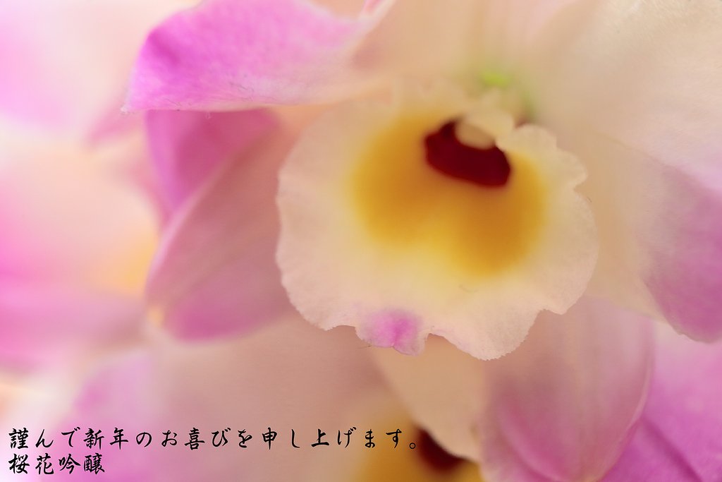 本年もよろしくお願いします。