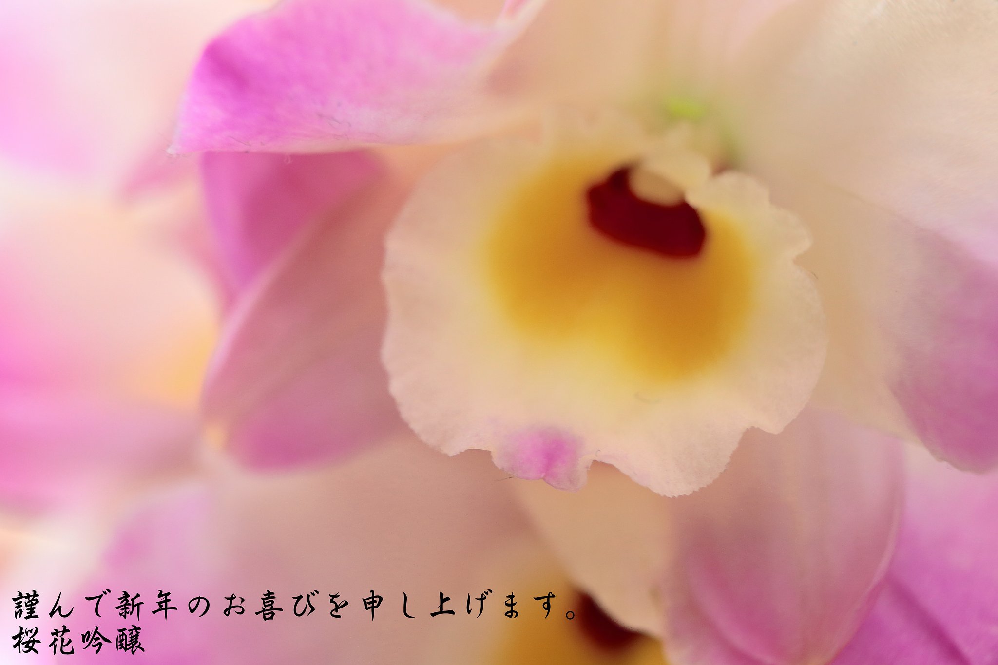 本年もよろしくお願いします。