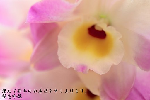 本年もよろしくお願いします。
