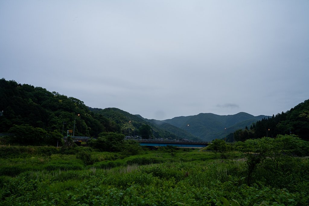 入梅。