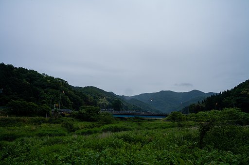 入梅。