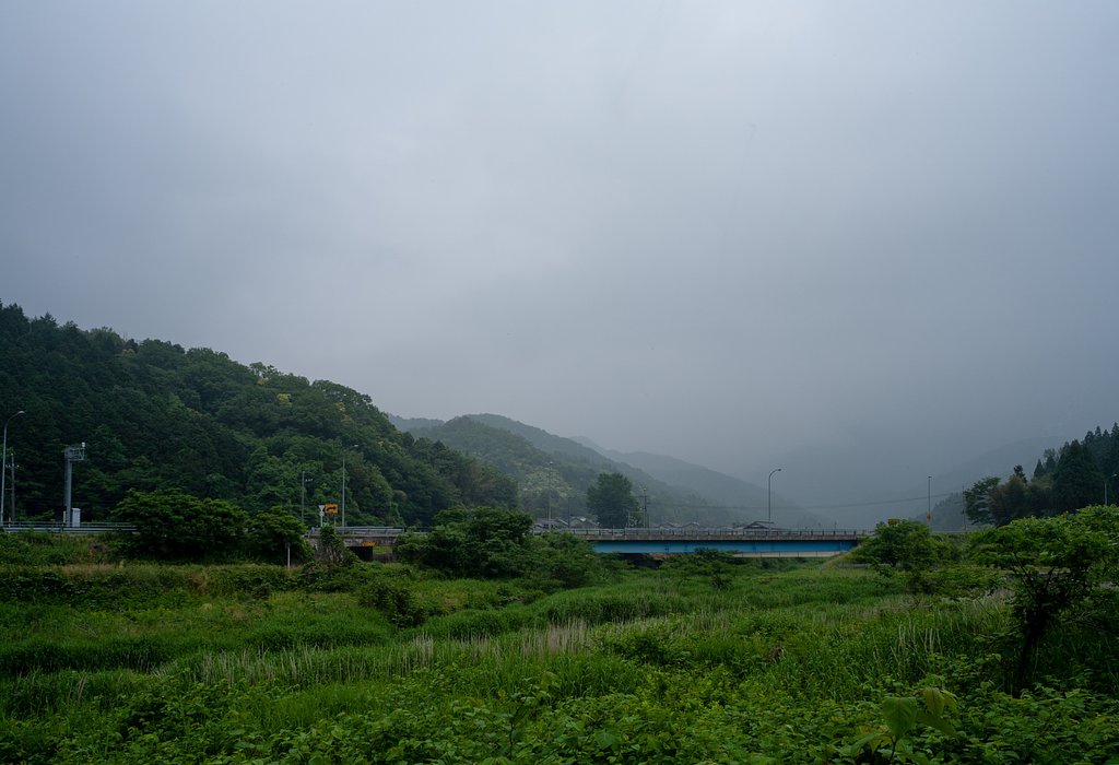 深い霧の朝。