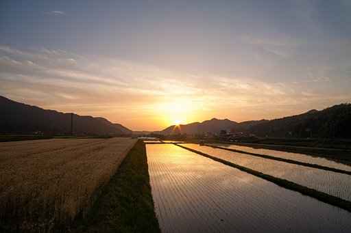 梅雨の夕焼け・・。
