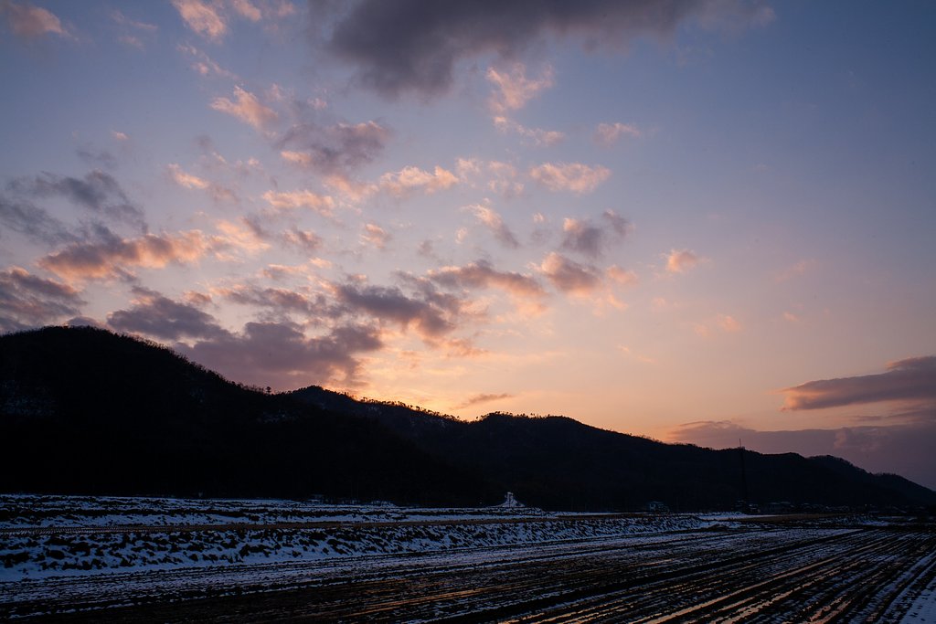 綺麗な夕焼けに。