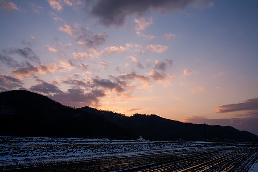 綺麗な夕焼けに。