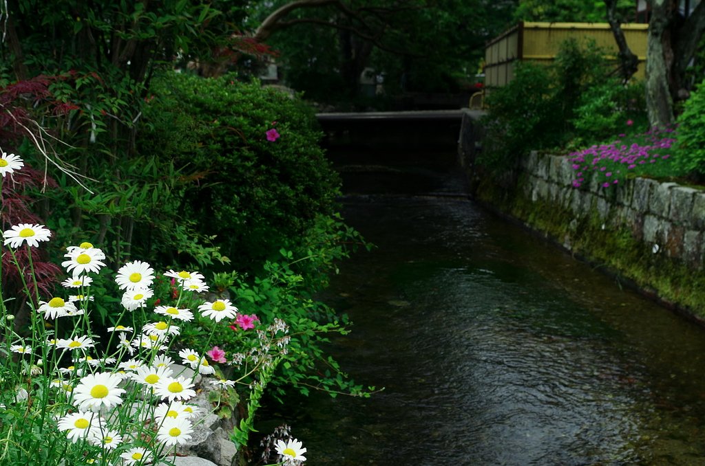 【影】地蔵川