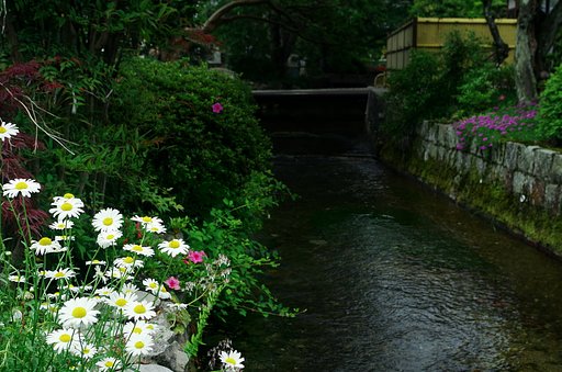【影】地蔵川