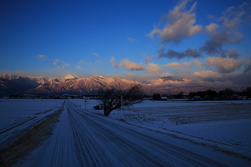 青い朝の向こうに