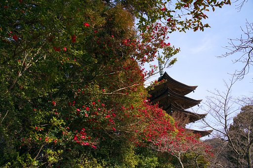 国宝