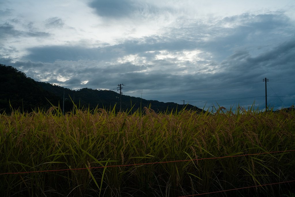 夕暮れ。