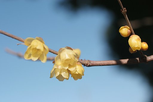 お福分け・・・